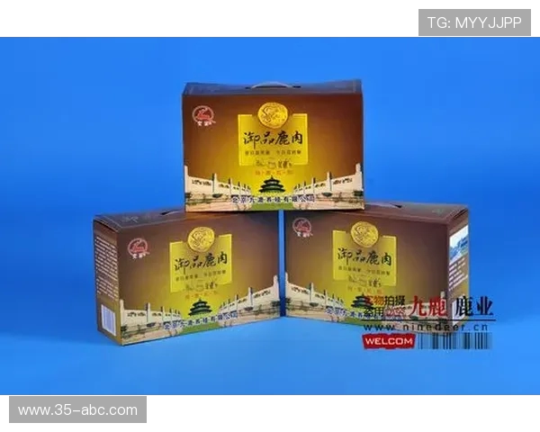 深度对话赵丽的排球人生与梦想追逐的心路历程